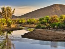 carl kammel morgen am wasserloch namibia