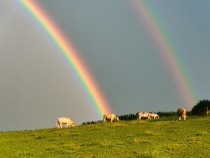 carl kammel nach dem regen moosburg