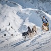 carl kammel schlittenhunde sportgastein  