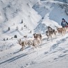 carl kammel schlittenhunde sportgastein  