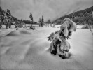 carl kammel schneelast jaegersee