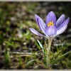 desiree gruber fruehlingserwachen