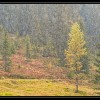  c  ernsttschautscher