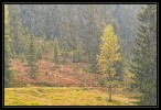  c  ernsttschautscher
