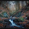  c  ernsttschautscher