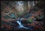  c  ernsttschautscher