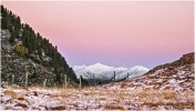  c  ernsttschautscher