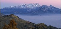  c  ernsttschautscher
