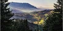  c  ernsttschautscher