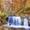  c  ernsttschautscher