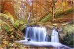  c  ernsttschautscher