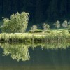  c  ernsttschautscher