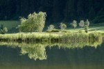  c  ernsttschautscher