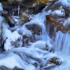  c  ernsttschautscher