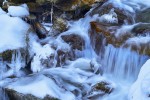  c  ernsttschautscher