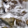  c  ernsttschautscher
