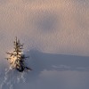  c  ernsttschautscher