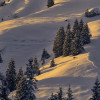  c  ernsttschautscher