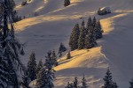  c  ernsttschautscher