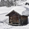  c  ernsttschautscher