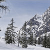  c  ernsttschautscher