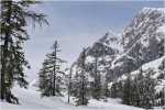  c  ernsttschautscher