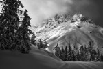  c  ernsttschautscher