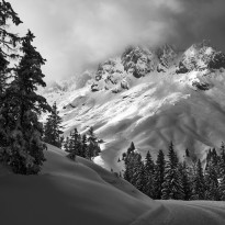  c  ernsttschautscher