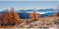 heimo gruber herbststiimmung