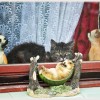 heimo gruber katze im fenster