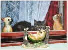 heimo gruber katze im fenster
