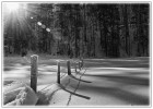heimo gruber wintertag