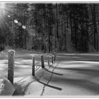 heimo gruber wintertag