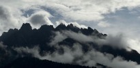 nebel jf
