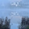 nebel jf