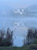 nebel jf