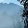 nebel jf