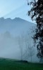 nebel jf