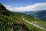 der lange weg